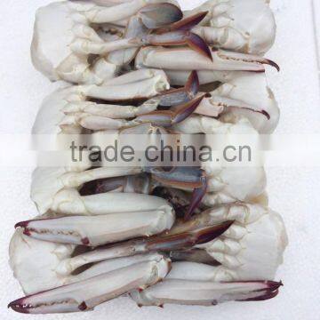 New Frozen Blue Swimming Crab photo-2