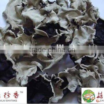 Dried Black Fungus White Back wild mushroom