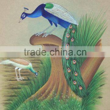 Miniature Painting Artwork Drawing India Art Gallery Artist Alibaba Peacock