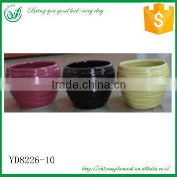 Cup Flower Pot And Planting