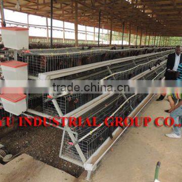 TAIYU Egg Cage for Egg Laying Chicken Poultry Farm