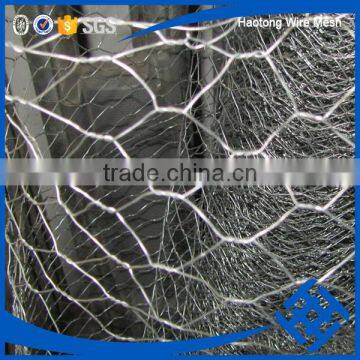 Useful Electric-galvanized Hexagonal Wire Mesh photo-6