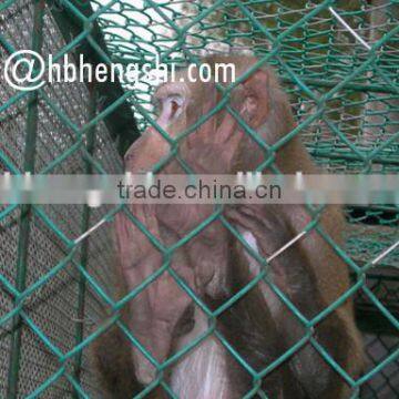 Diamond hole wire mesh/PVC coated chain link fencing factory