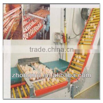 scientific design Automatic egg collecting machine for poultry farm