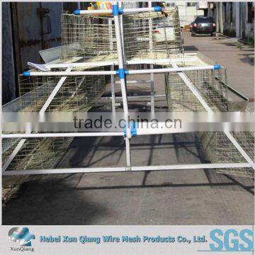 metal chicken layer cage for poultry farm