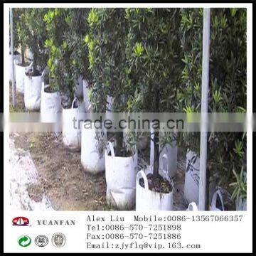 Landscape Gardening pp Nonwoven Fabrics Used To Protect the Plant Roots photo-4