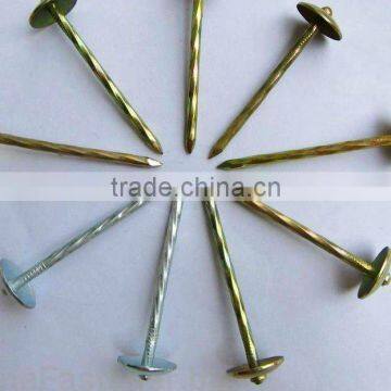 galvanized roofing nails