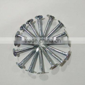 Iron Roofing Felt Nails