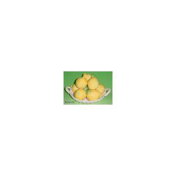 Sell Fruit crafts and holder