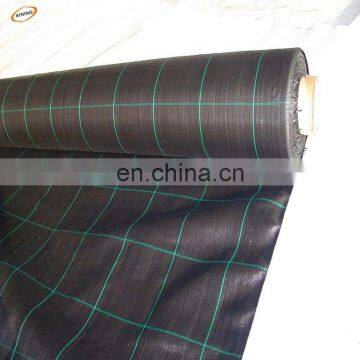 PP Woven Silt Fence/Agricultural Weed Mat/woven geotextile with low price