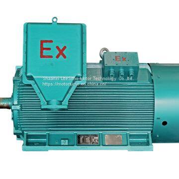 explosion proof 6kv motor