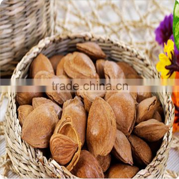 organic raw almond in shell for sale