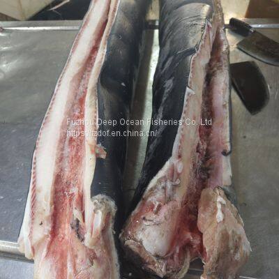 Blue Shark Fillet/loin photo-2