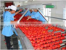 Cold Crush Fresh Tomato Paste /jam/ketchup Production Line for Sale photo-3