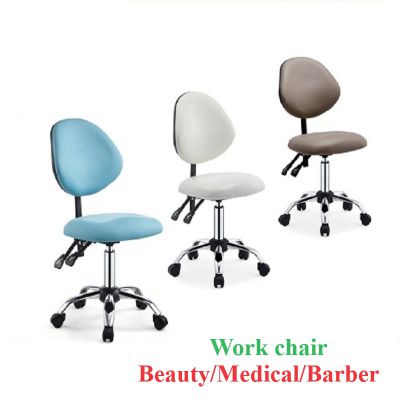 Medical/Beauty/Barber Chair