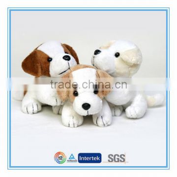 Dogs and puppies for sale custom design