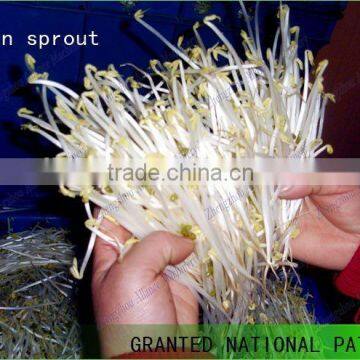 Hot Sales Automatic Equipments for Shoots /peas /radish /alfalfa Sprouts Cultivate photo-2