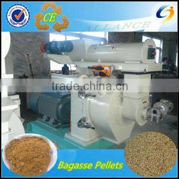 1t/h (1000kg/h)ring die single biomass wood pelletizer bagasse pellet making machine with perfect design,manufactuer and install