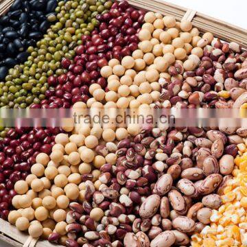 Best Sela China Cleaning Machine for Peas,beans,chickpea,barley,rice,wheat,corn,grain for Sale photo-3