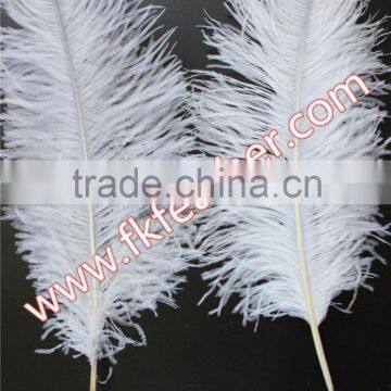 Natural Craft Feather Big White Ostrich Feather For Wedding And Party Decoration 60cm-65cm