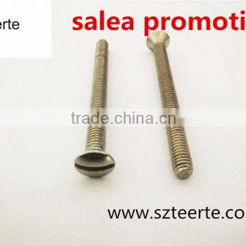 china cheap solted oval head screw stainless steel