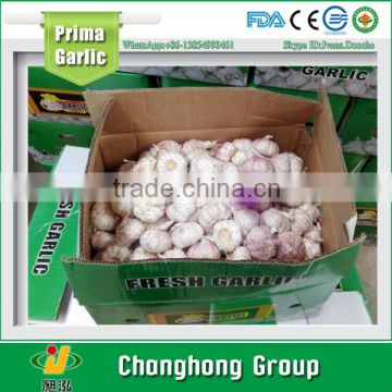 2016 New Red Garlic 10kg/carton