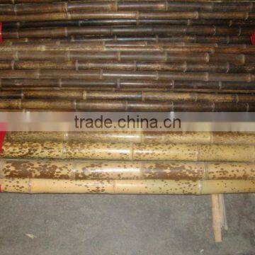 Speckled bamboo Pole Sun-012