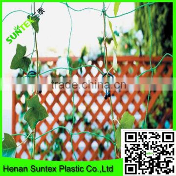 knotless plant supporting net&Hdpe Extruded Netting&professional agricultural net