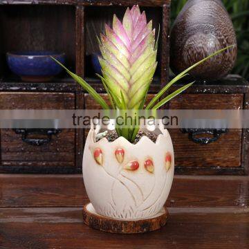 2016 small cheap porcelain decorative ceramic flower pots for Succulents plant