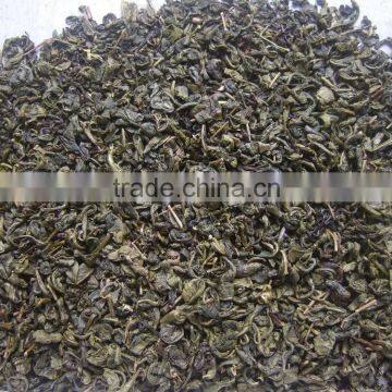 2016 new spring precious cheap hot sale gunpowder green tea 9275