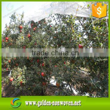 PP Agricultural Nonwoven Fabric, Anti UV Treated pp Spunbond Non-woven Fabric, Agriculture Nonwoven Fabric for Fruit,plant