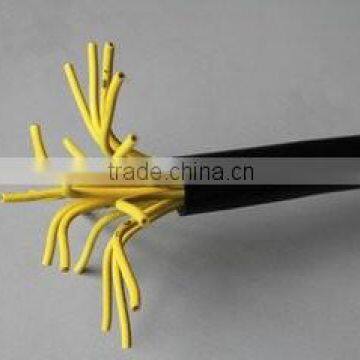 ZR-VLV Flame Retardant PVC Insulated and Sheathed Control Cable photo-3