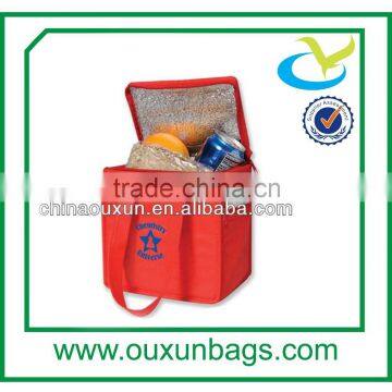 Custom lunch picnic outdoor coolerbag