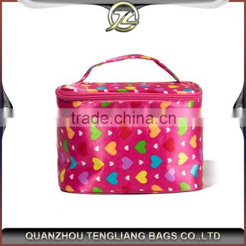 Hard case wash organizer cosmetic hand tote bag