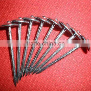 70x4.2mm Galvanized Roofing Nails With Umbrella Head