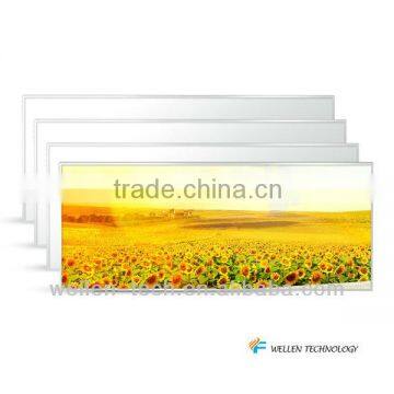 wall mounted infrared heating panel FX900
