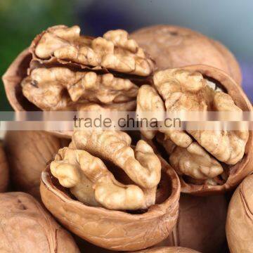 high quality xinjiang walnut thin shell walnuts