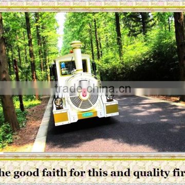 more than 10 years experience in amusement funny electric trackless train