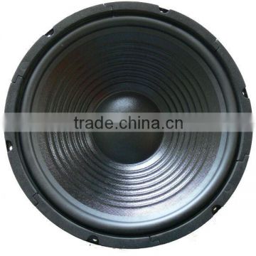 12 inch PA Audio Subwoofer