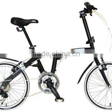 Folding Bike