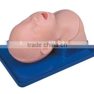 Infant Trachea Intubation Model