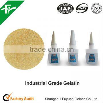 Top Quality Industrial Gelatin Powder For Hot Melt Adhesives Classification