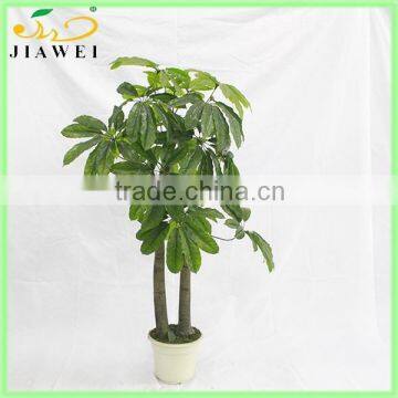 make artificial fortunate tree/money tree on sale