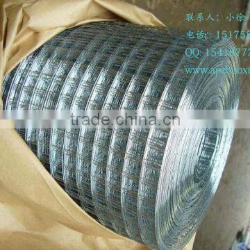 Hebei anping cheap galvanized welded wire mesh