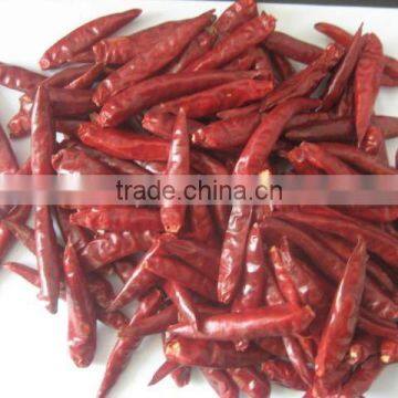 dried chili