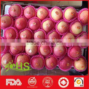 China Hot Sale Fresh Sweet Fuji Apple Fruit