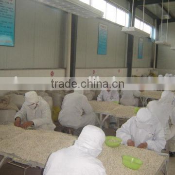 Chinese Large White Kidney Bean Original Wholesales Price