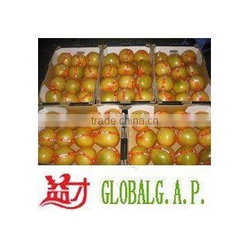 Honey pomelo