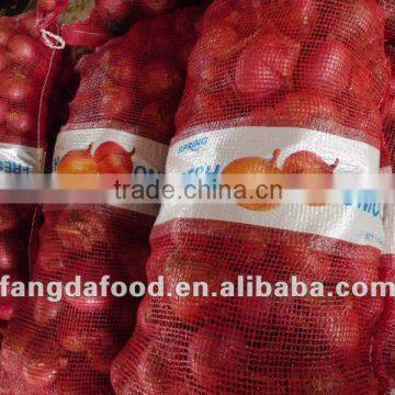 Supply RED ONIONS packed in 20kg mesh bag