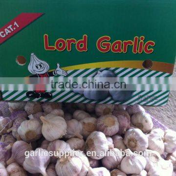 2015 Crop Garlic